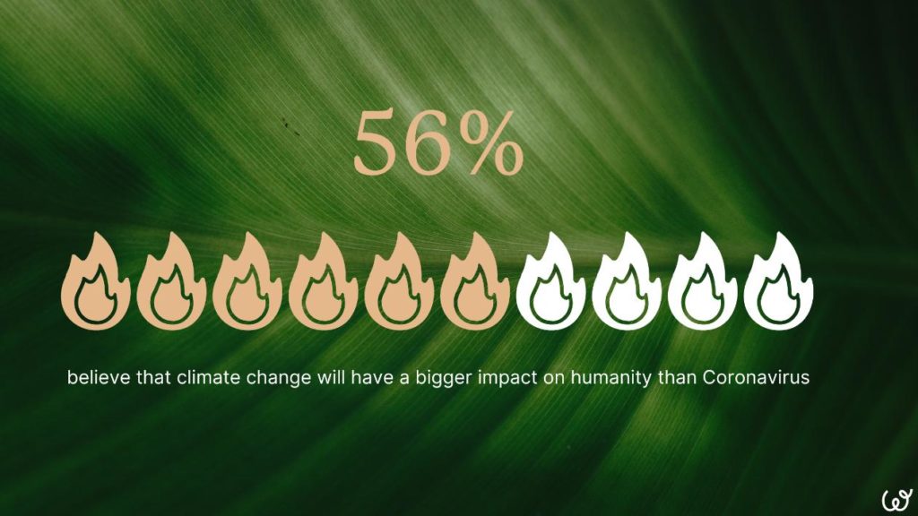 climate-anxiety-research