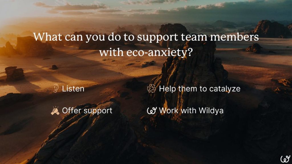 eco-anxiety-in-the-workplace-wildya