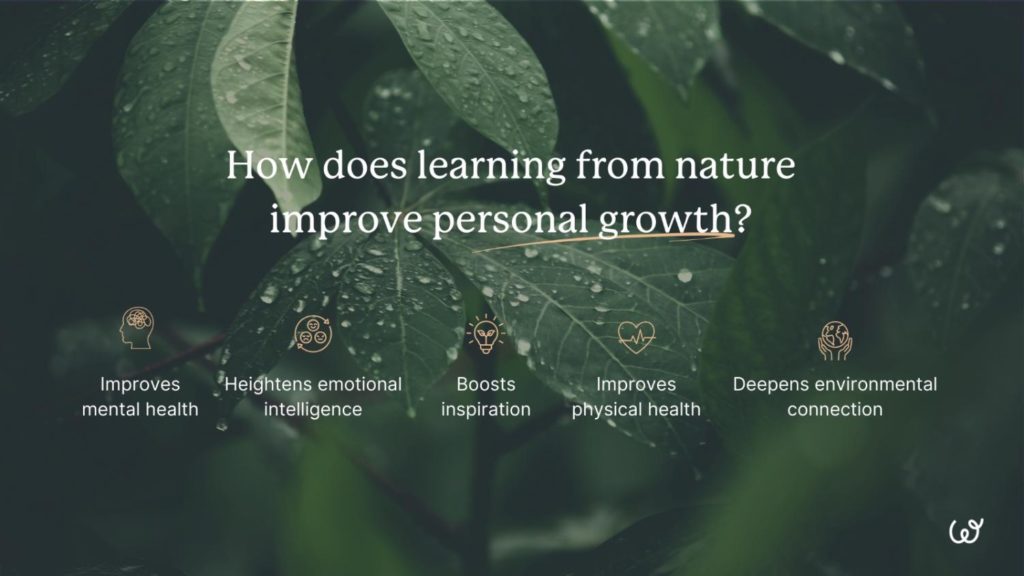 nature-based-learning-personal-growth