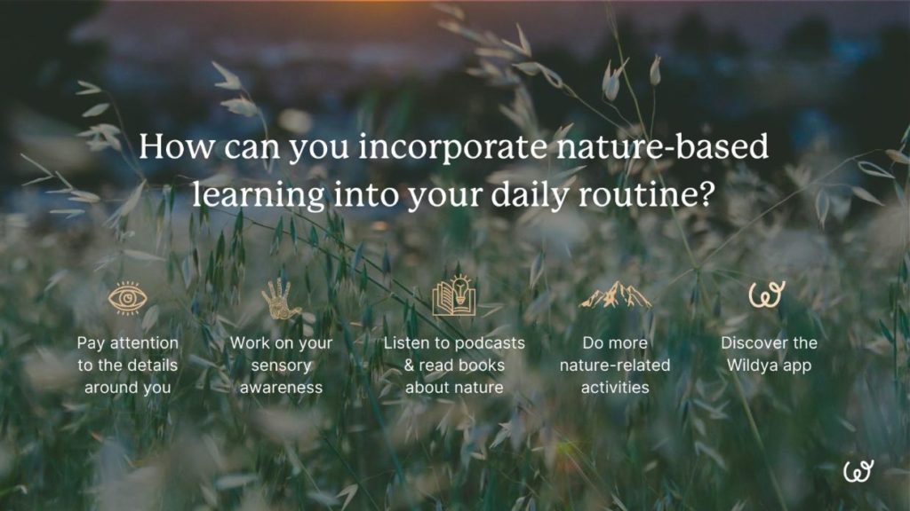 nature-best-learning-best-practices