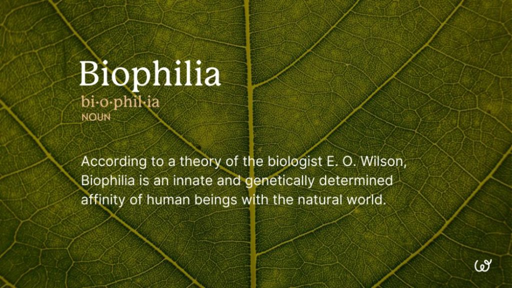 biophilia-definition-wildya