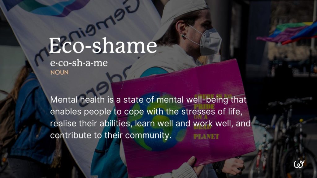 eco-shame-definition