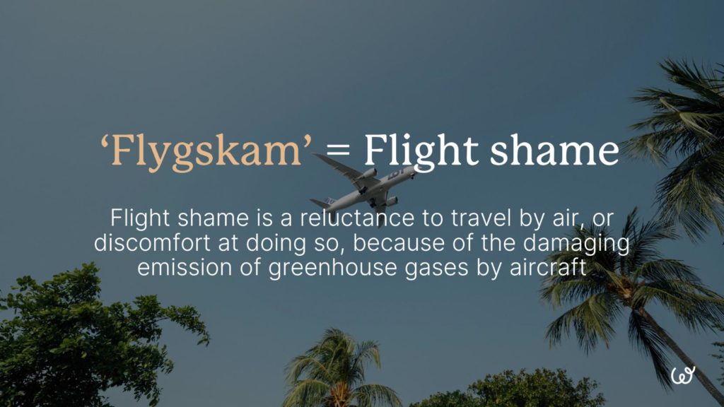 flygskam-flight-shame-definition