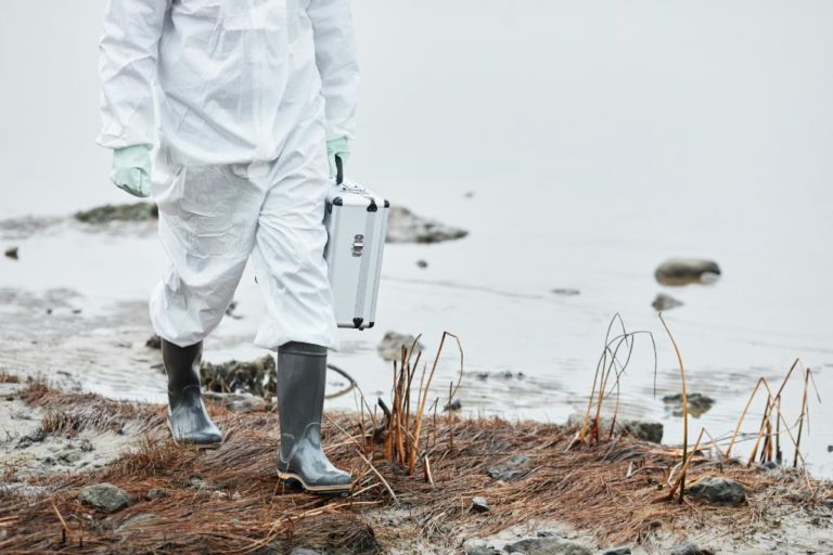 14 Nature Jobs that Pay Well: Concrete Examples & Wild Tips