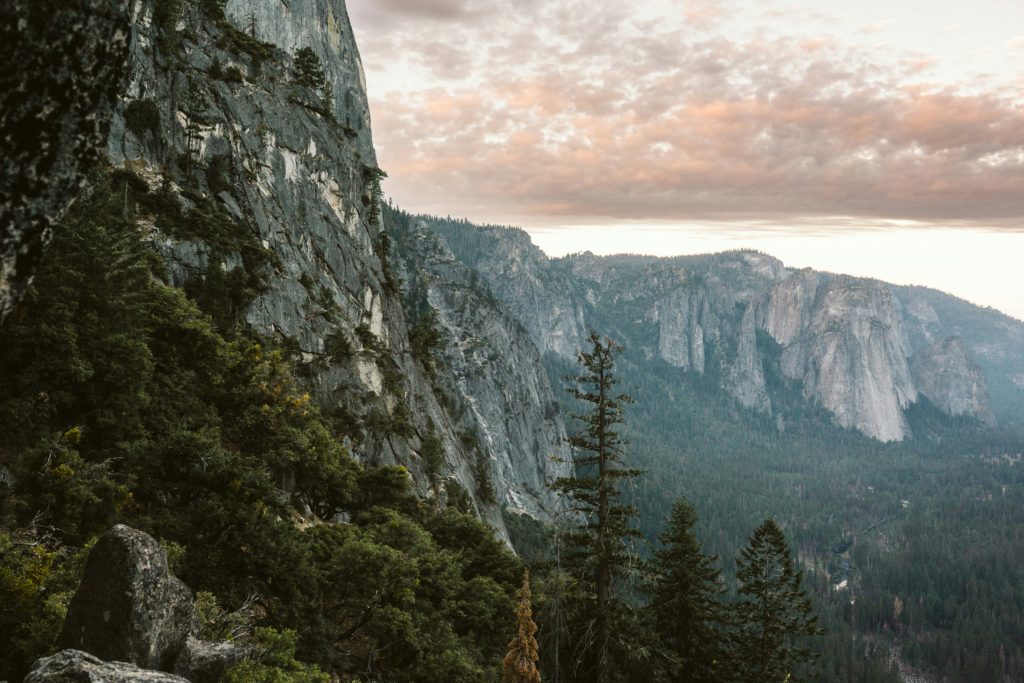 nature-gifts-mountain-forest-lovers