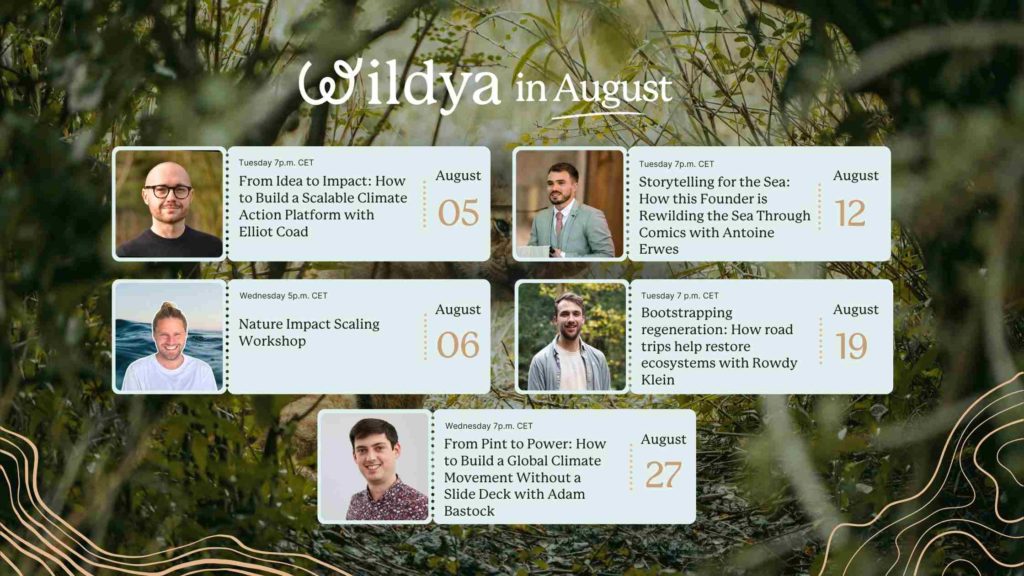 wildya-ecopreneur-events-august