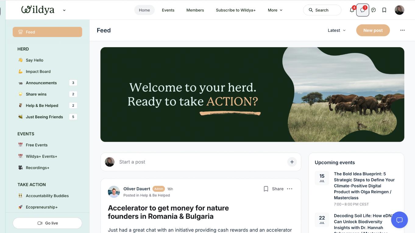 How-build-personal-branding-Wildya-community
