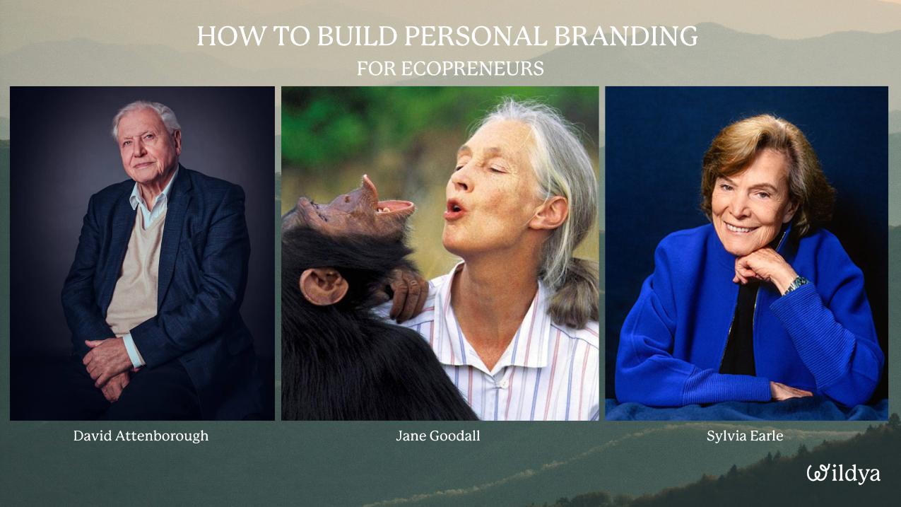 How-build-personal-branding-jane-goodall-david-attenboroug-sylvia-earle