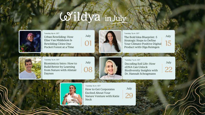 ecopreneurs-events-wildya-july-2025
