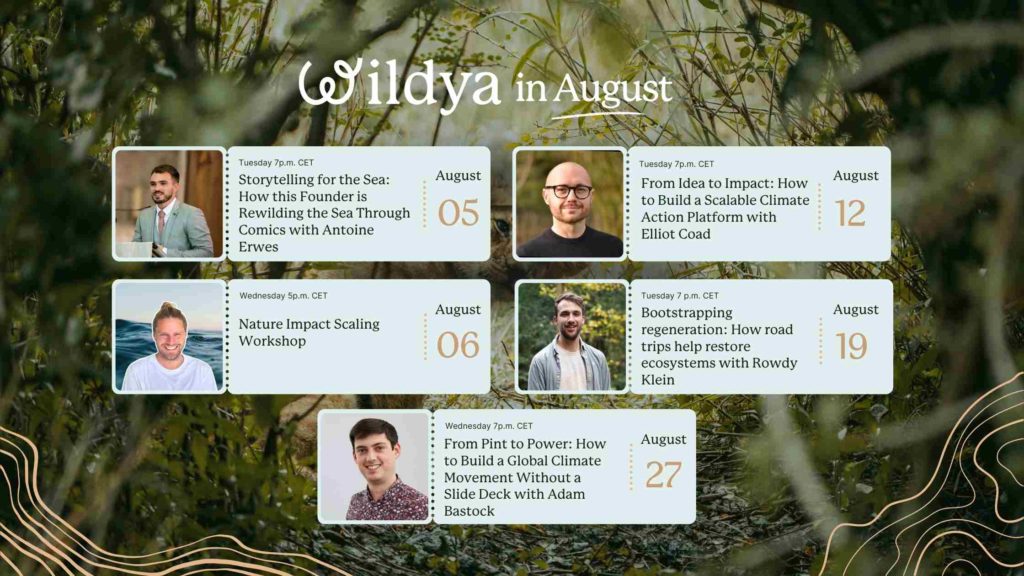 wildya-ecopreneur-events-august