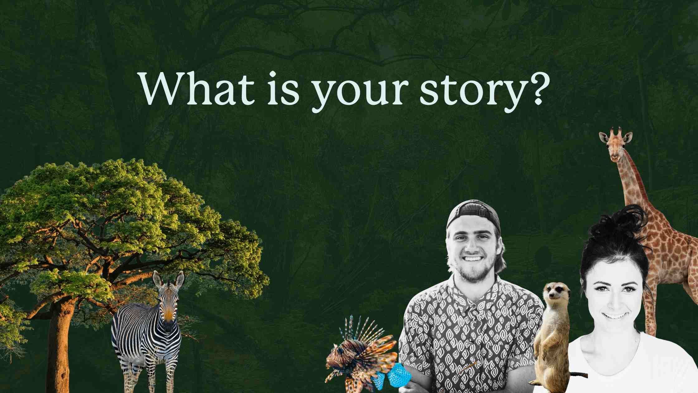 how-do-i-get-customers-ecopreneur