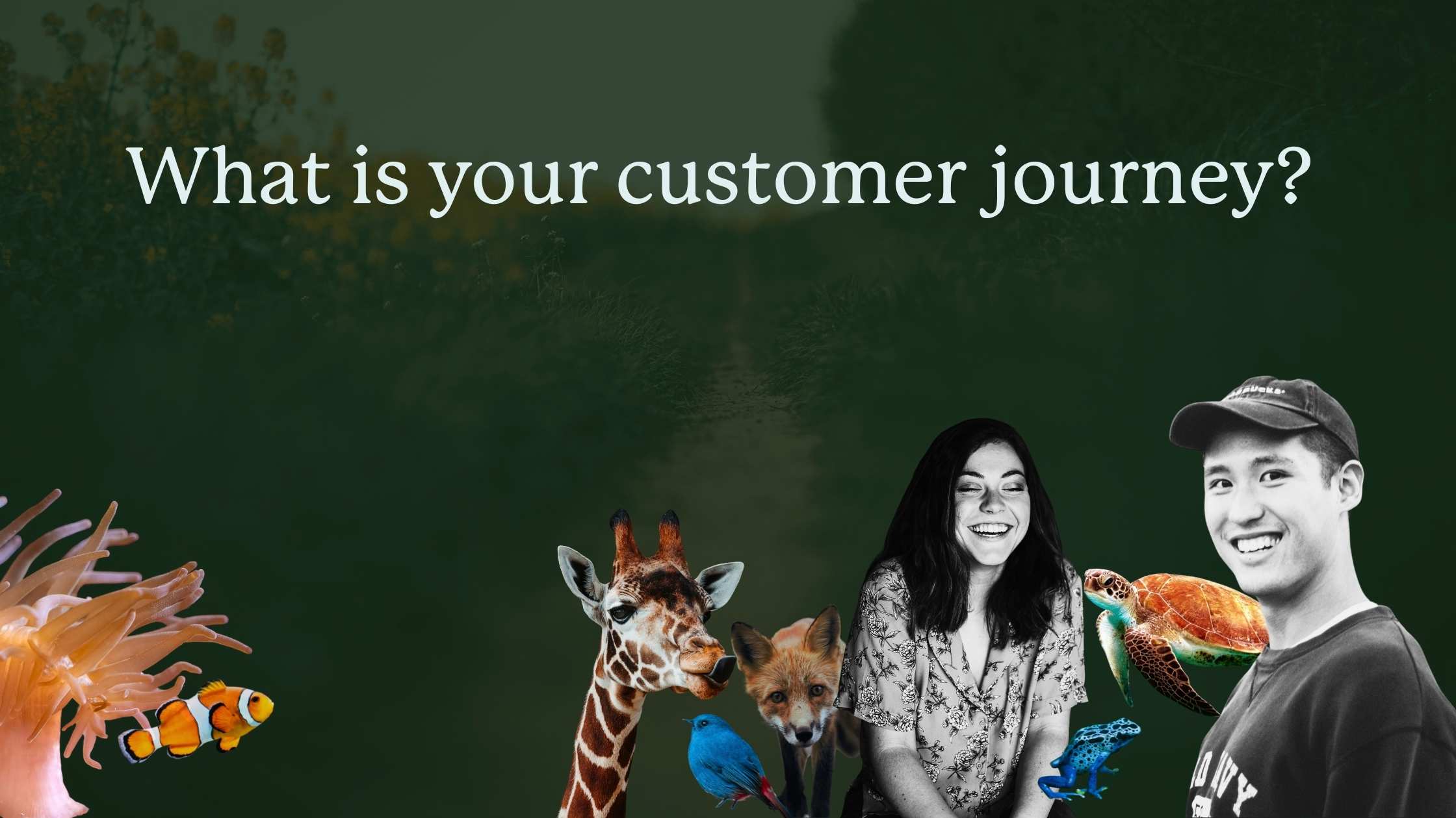 how-do-i-get-customers-ecopreneur
