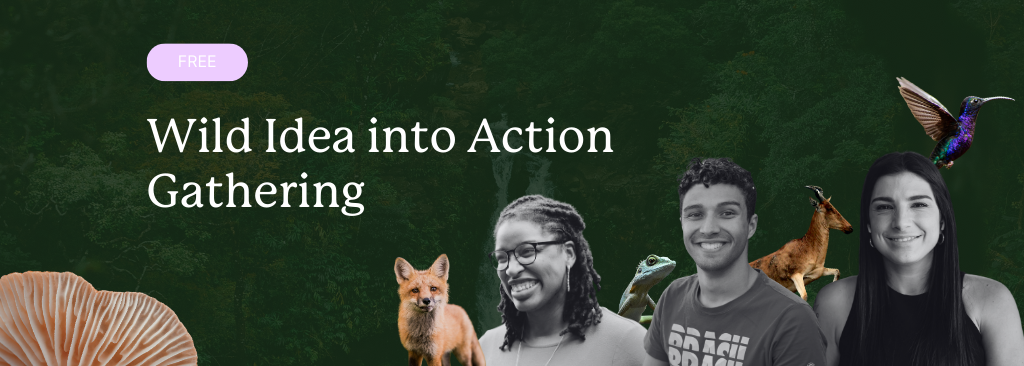 ecopreneurs-events-november-2025