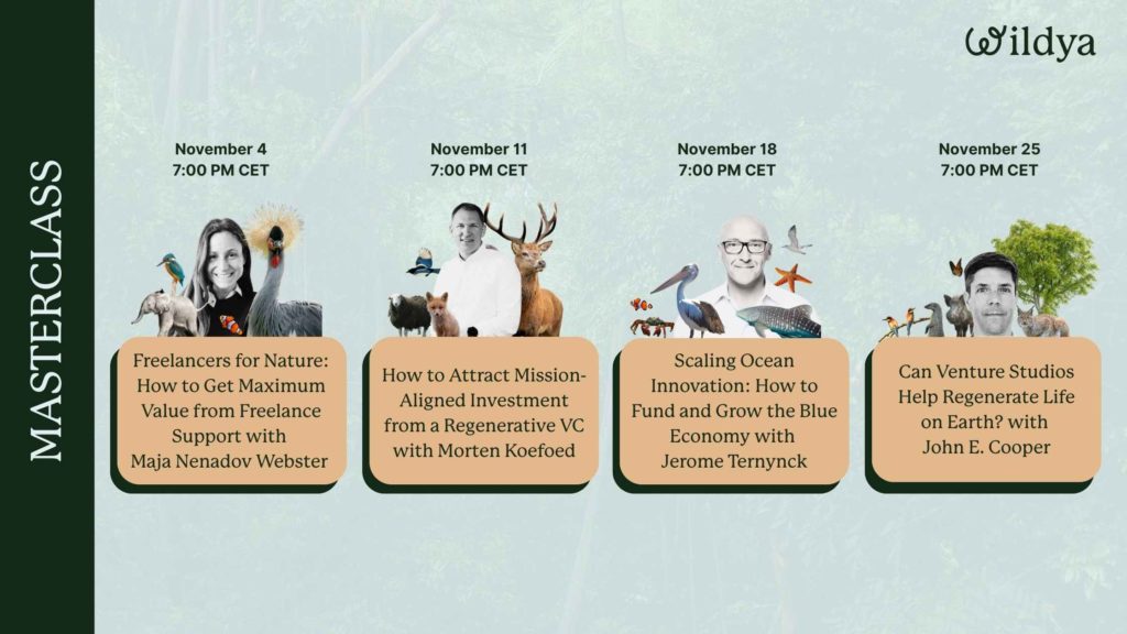 wildya-ecopreneurs-events-november-2025