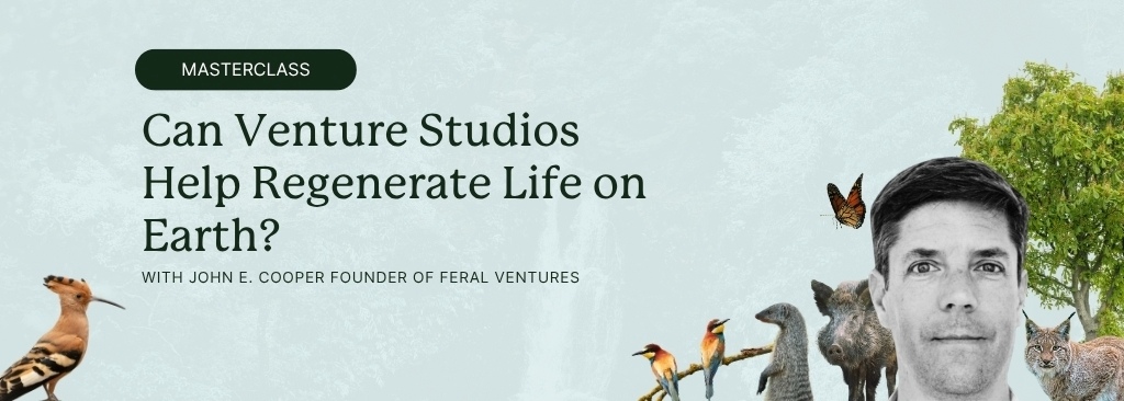 wildya-ecopreneurs-events-november-2025