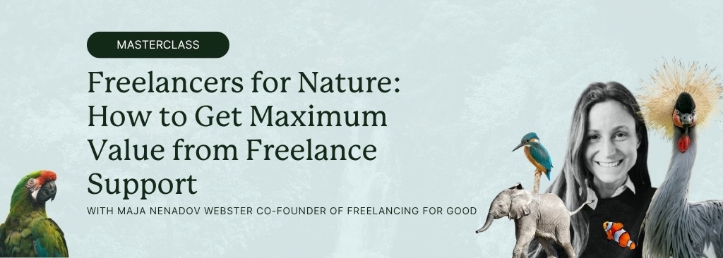 wildya-ecopreneurs-events-november-2025