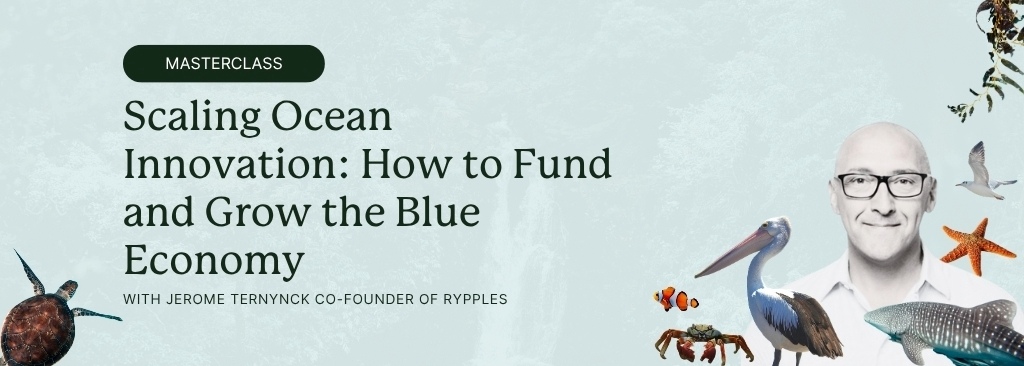 wildya-ecopreneurs-events-november-2025