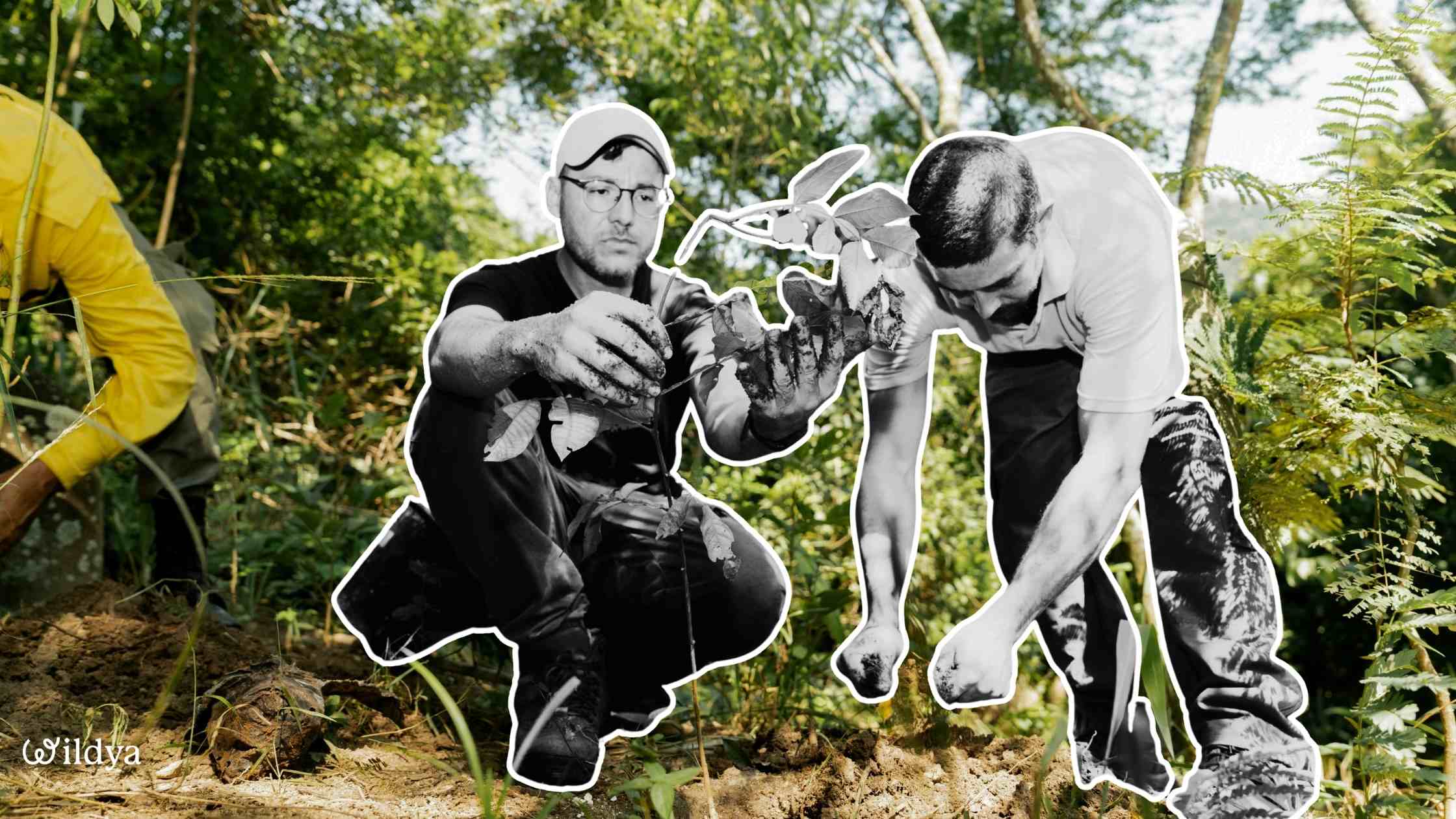 how-start-green-business