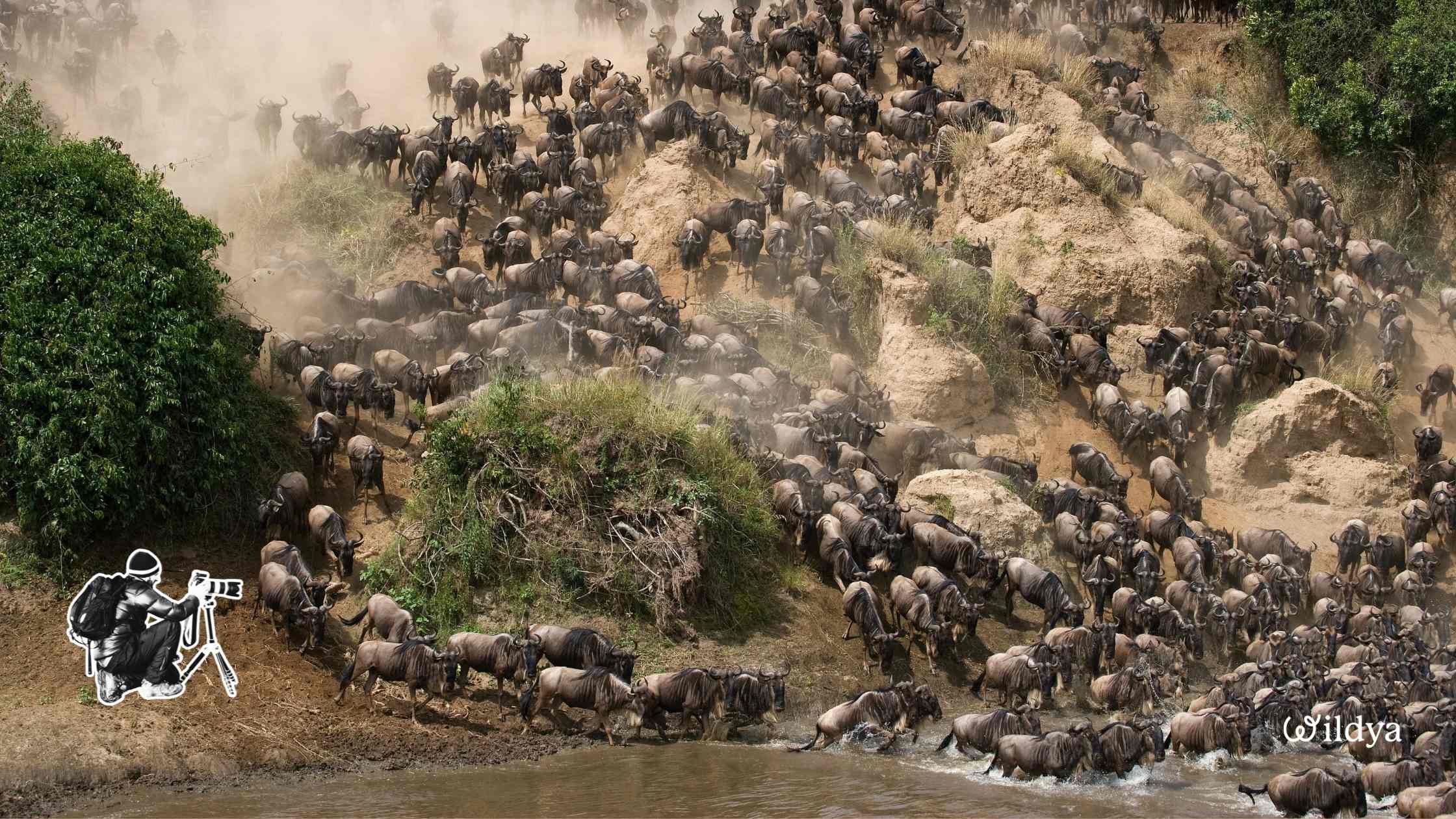 how-start-green-business