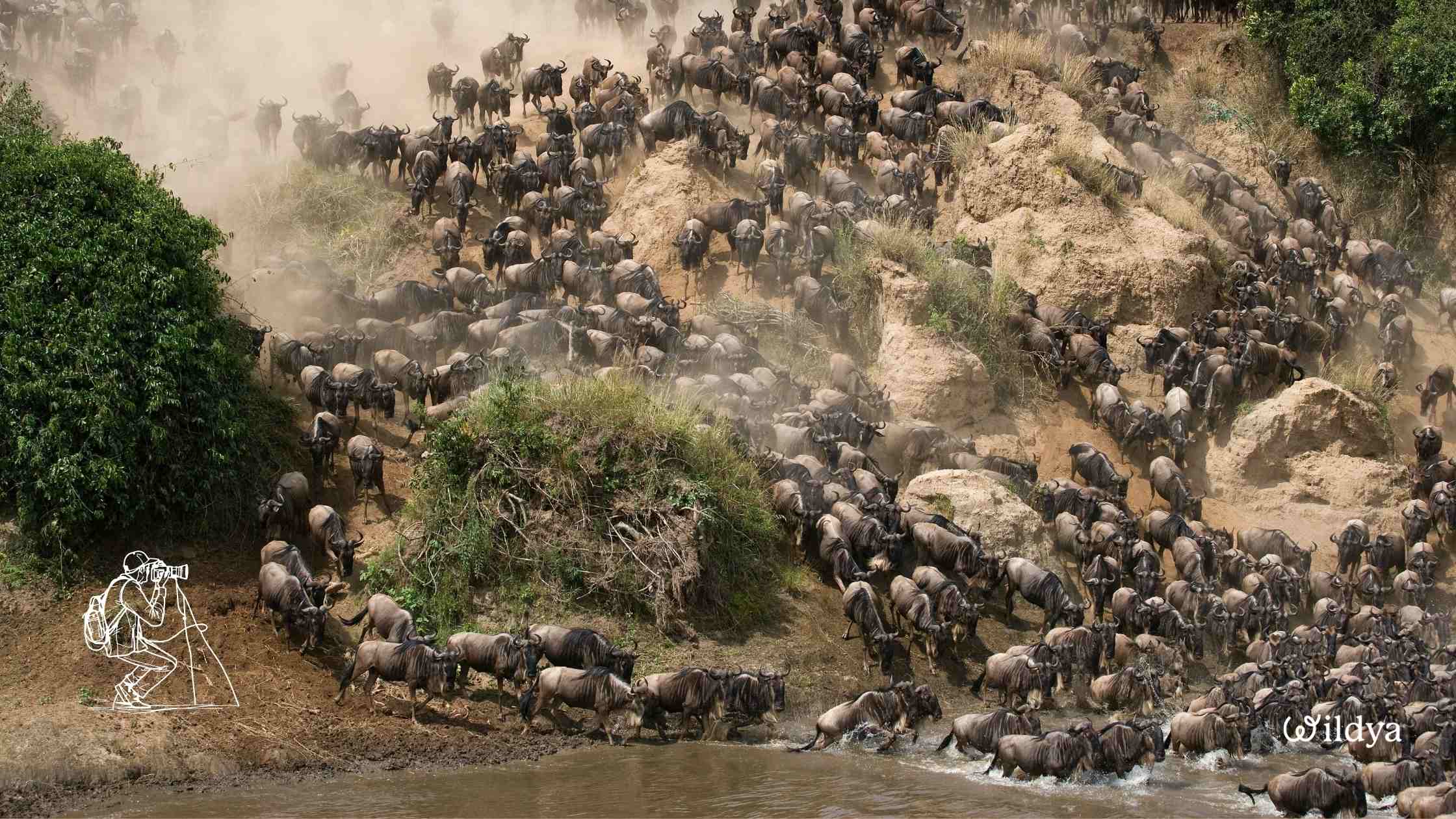 how-start-green-business