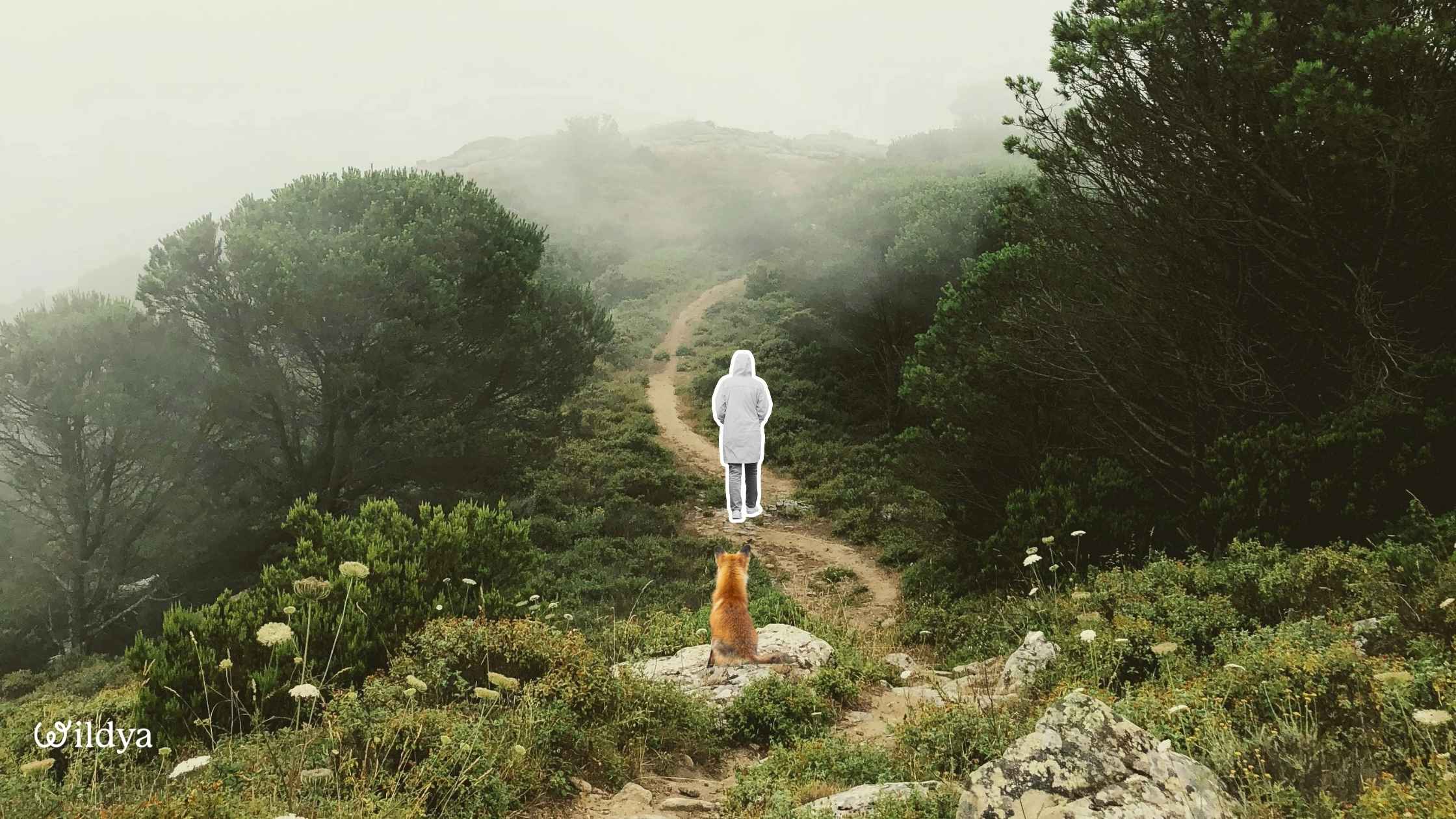 how-start-green-business