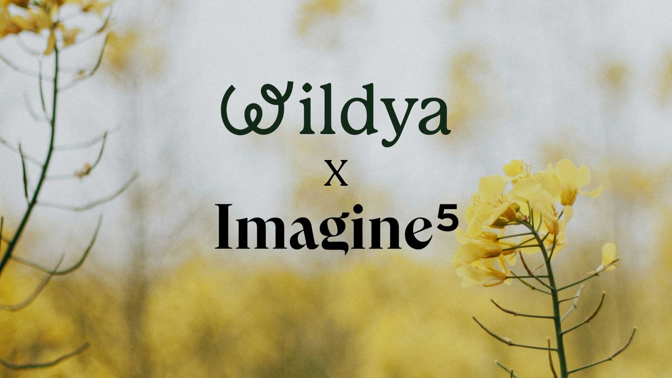 oliver-dauert-joins-imagine5-global-voices