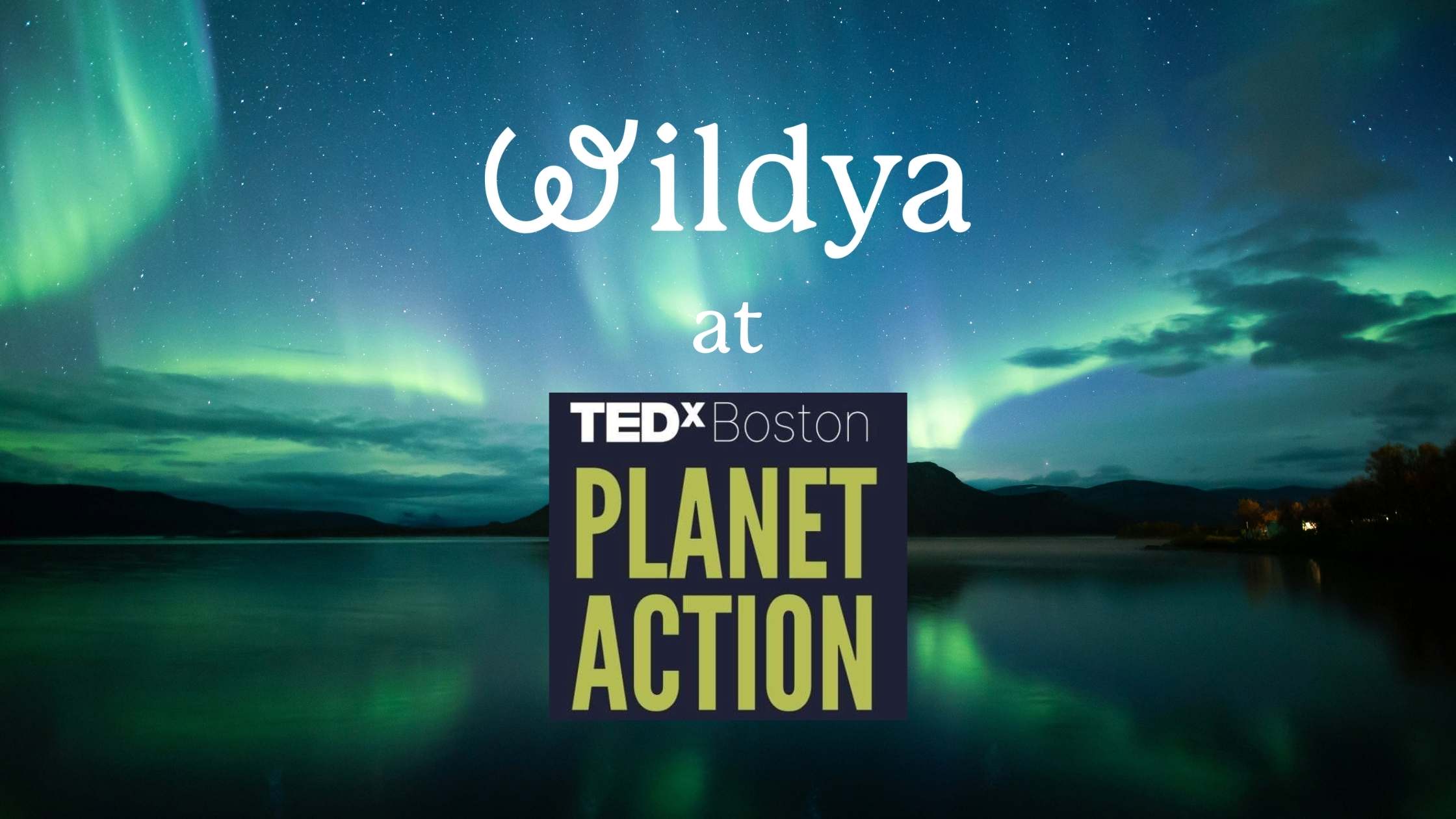 oliver-dauert-tedx-boston-planet-action-2025