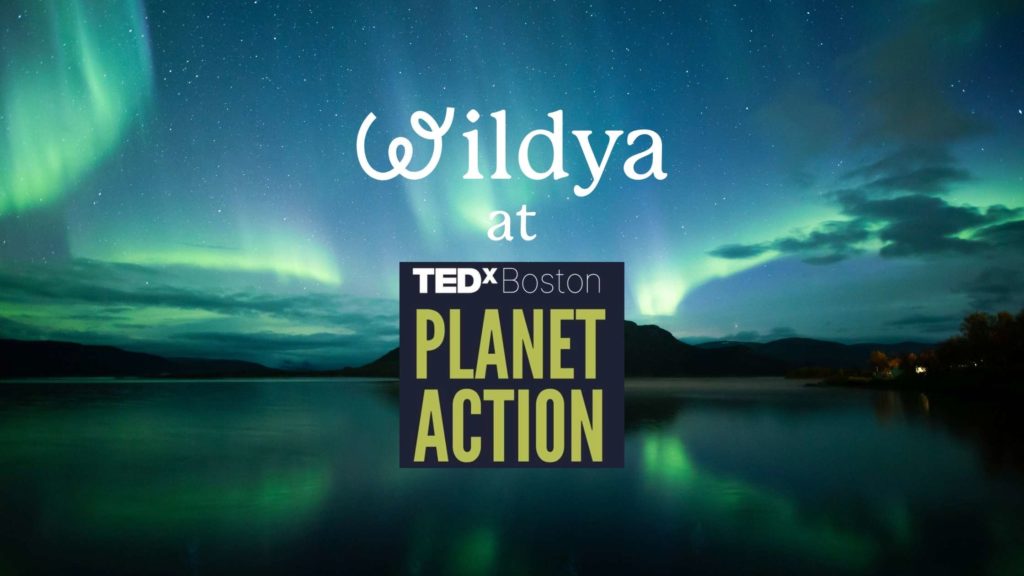 oliver-dauert-tedx-boston-planet-action-2025