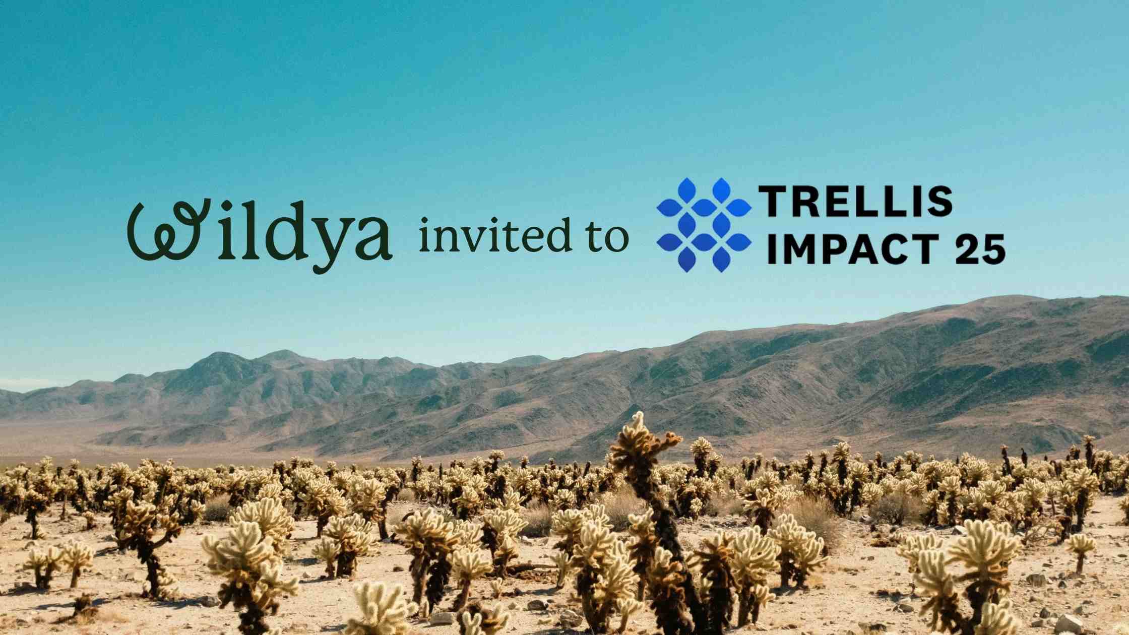 trellis-impact-2025-michelle-egly