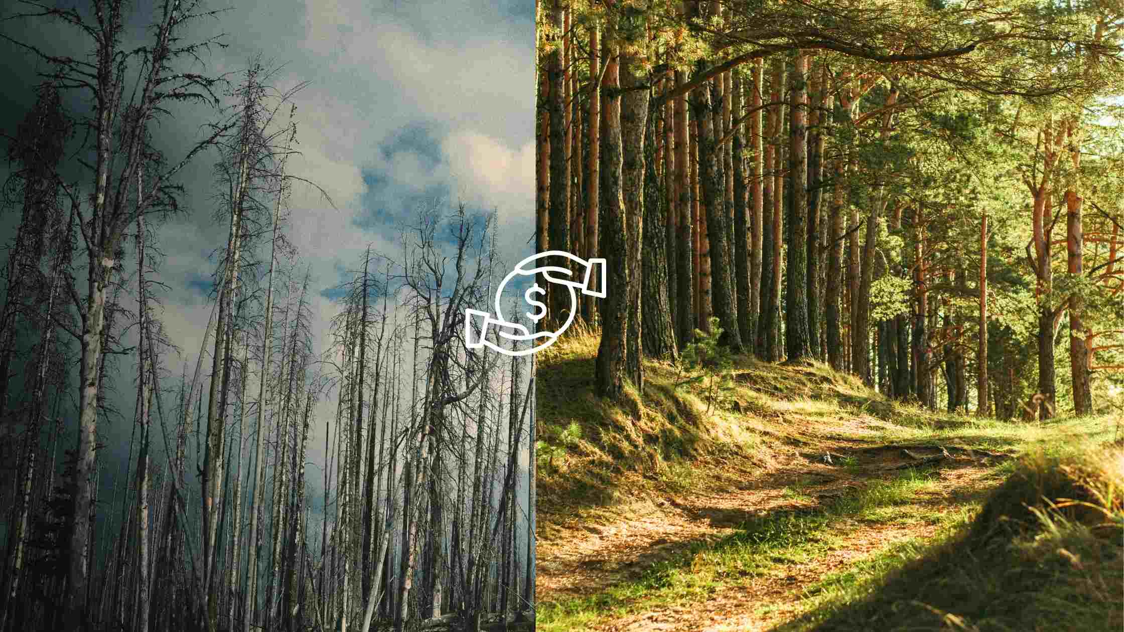 how-to-get-funding-for-a-business