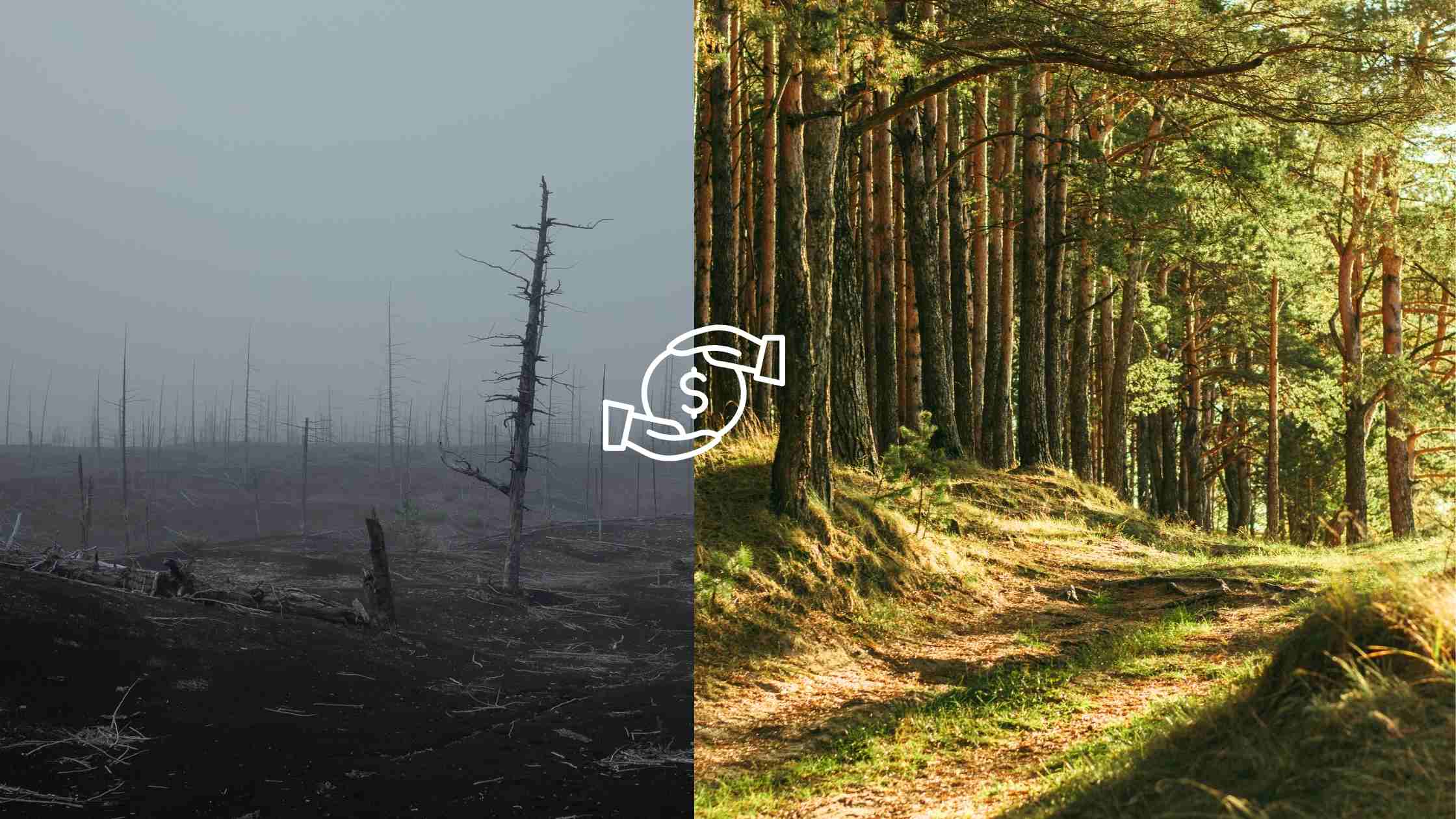 how-to-get-funding-for-a-business