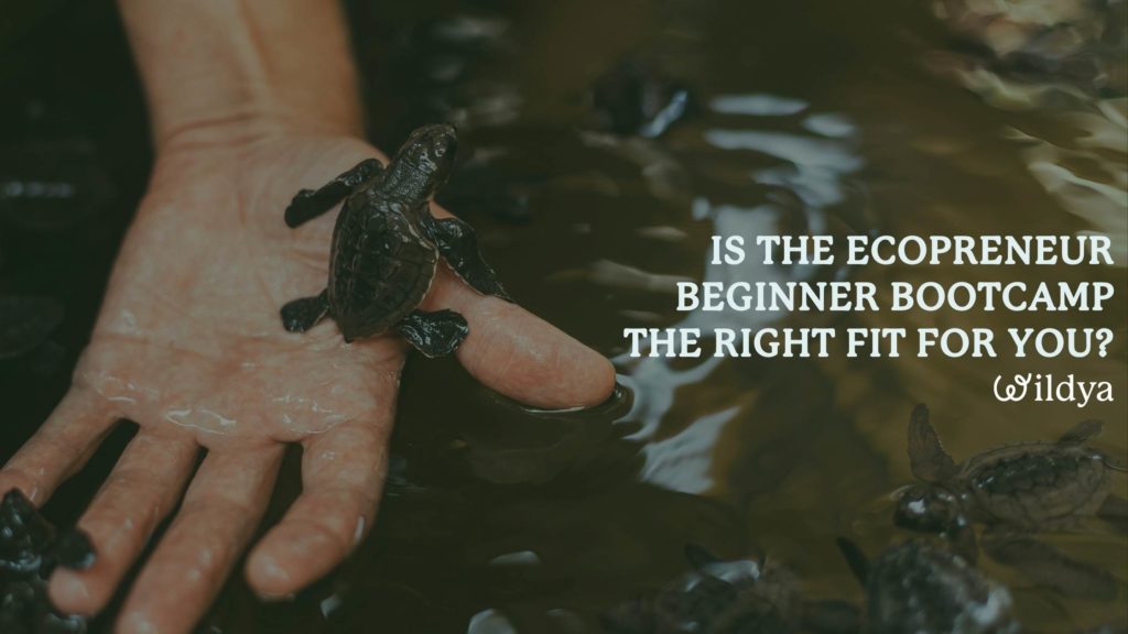 why-should-join-ecopreneur-beginner-bootcamp