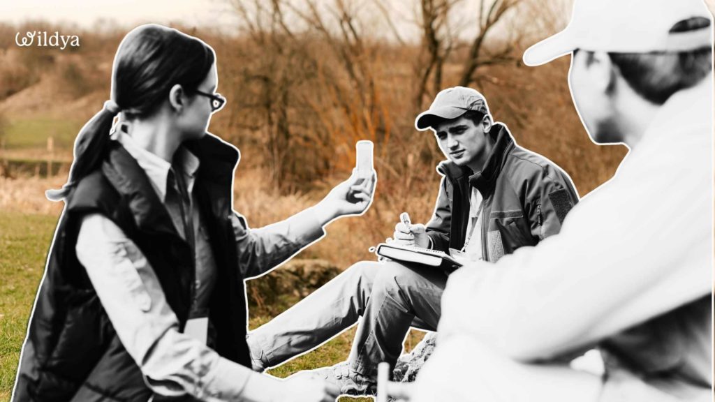 how-test-business-ideas