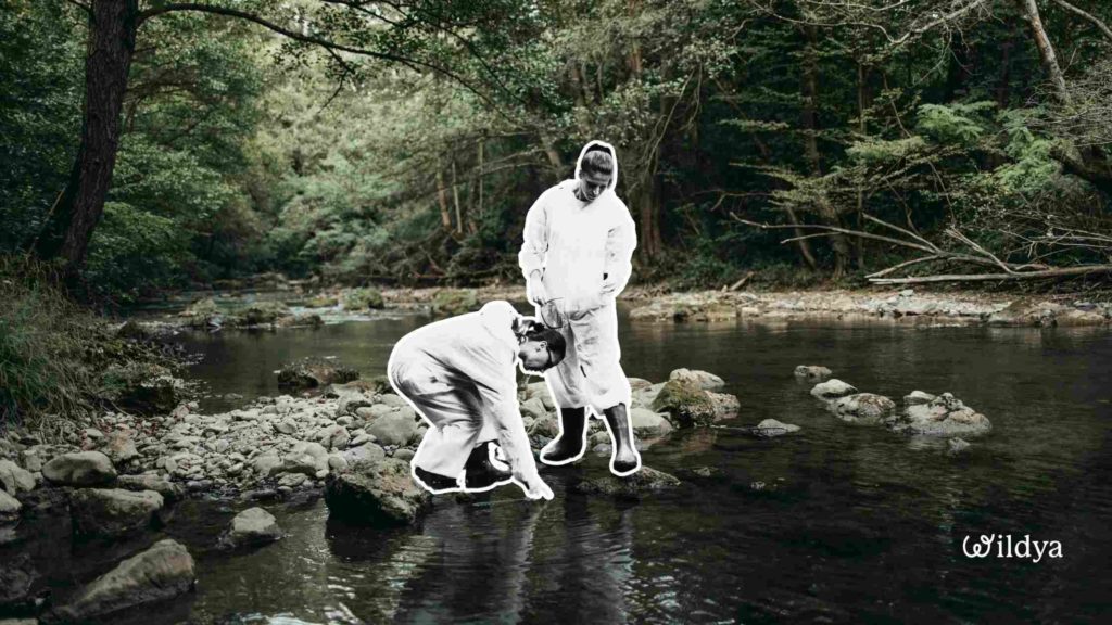 how-test-business-ideas-experiments