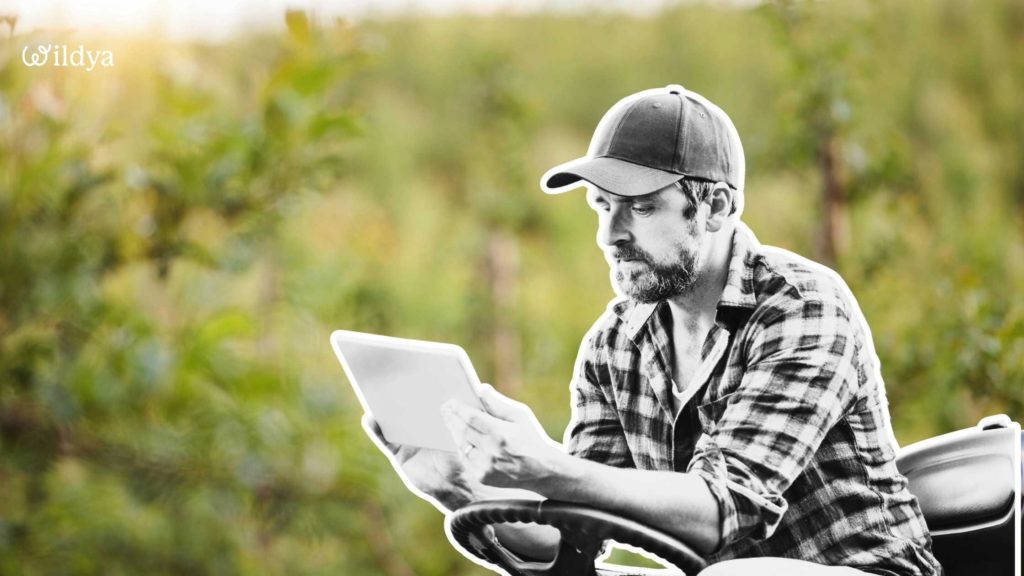 how-test-business-ideas-read-results