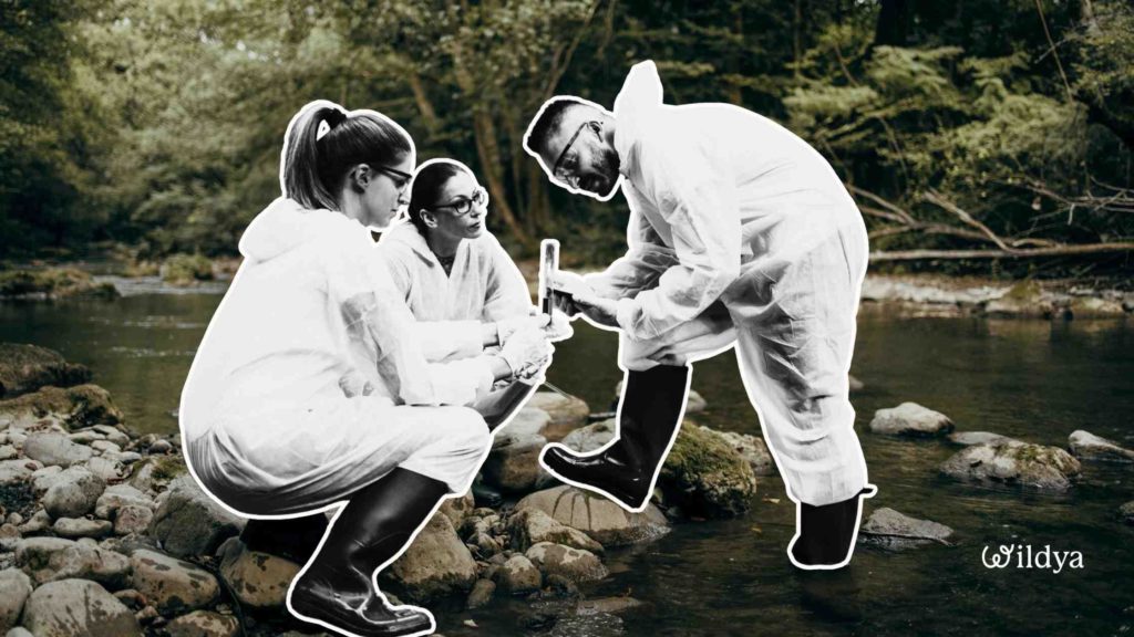 more-ways-how-test-business-ideas