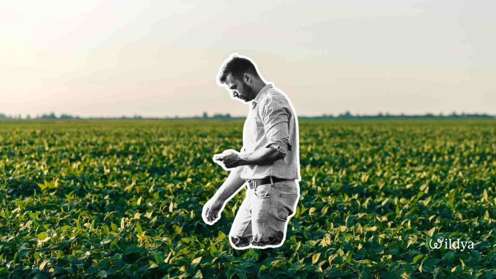 what-test-business-ideas