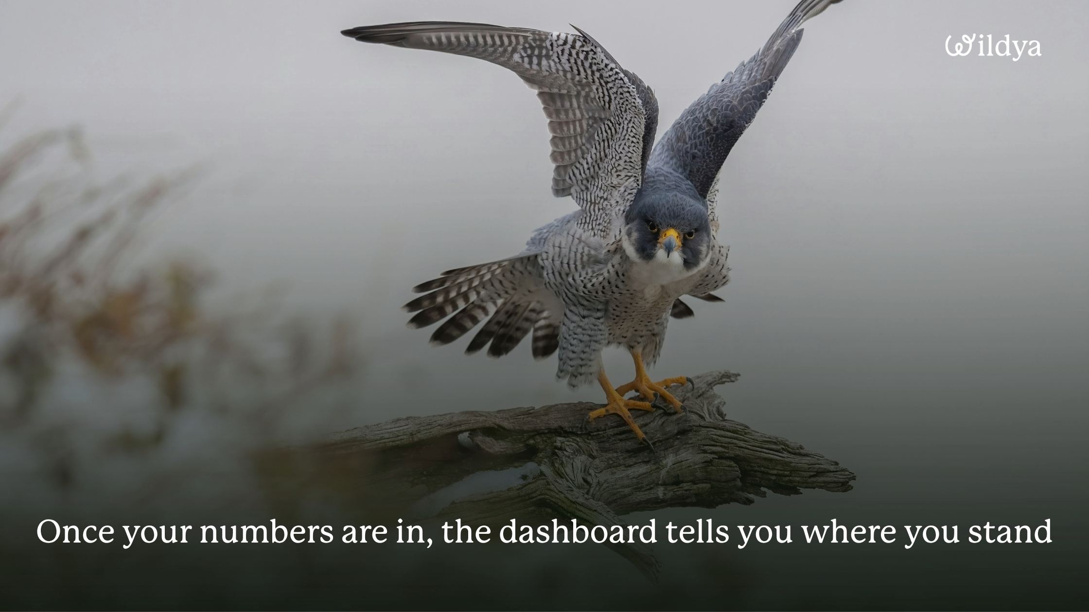 how-to-build-a-financial-model-results