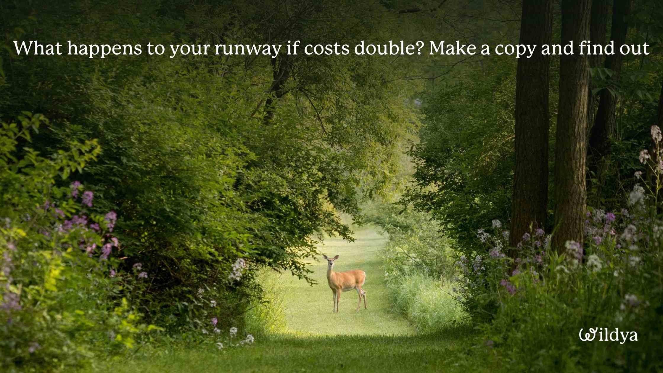 how-to-build-a-financial-model-scenarios