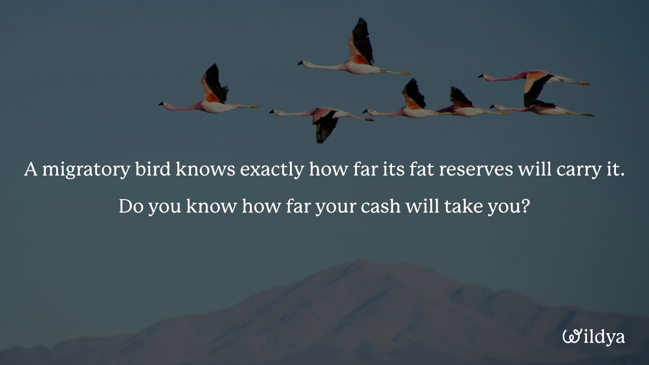 how-to-manage-business-finances-burn-rate-runway