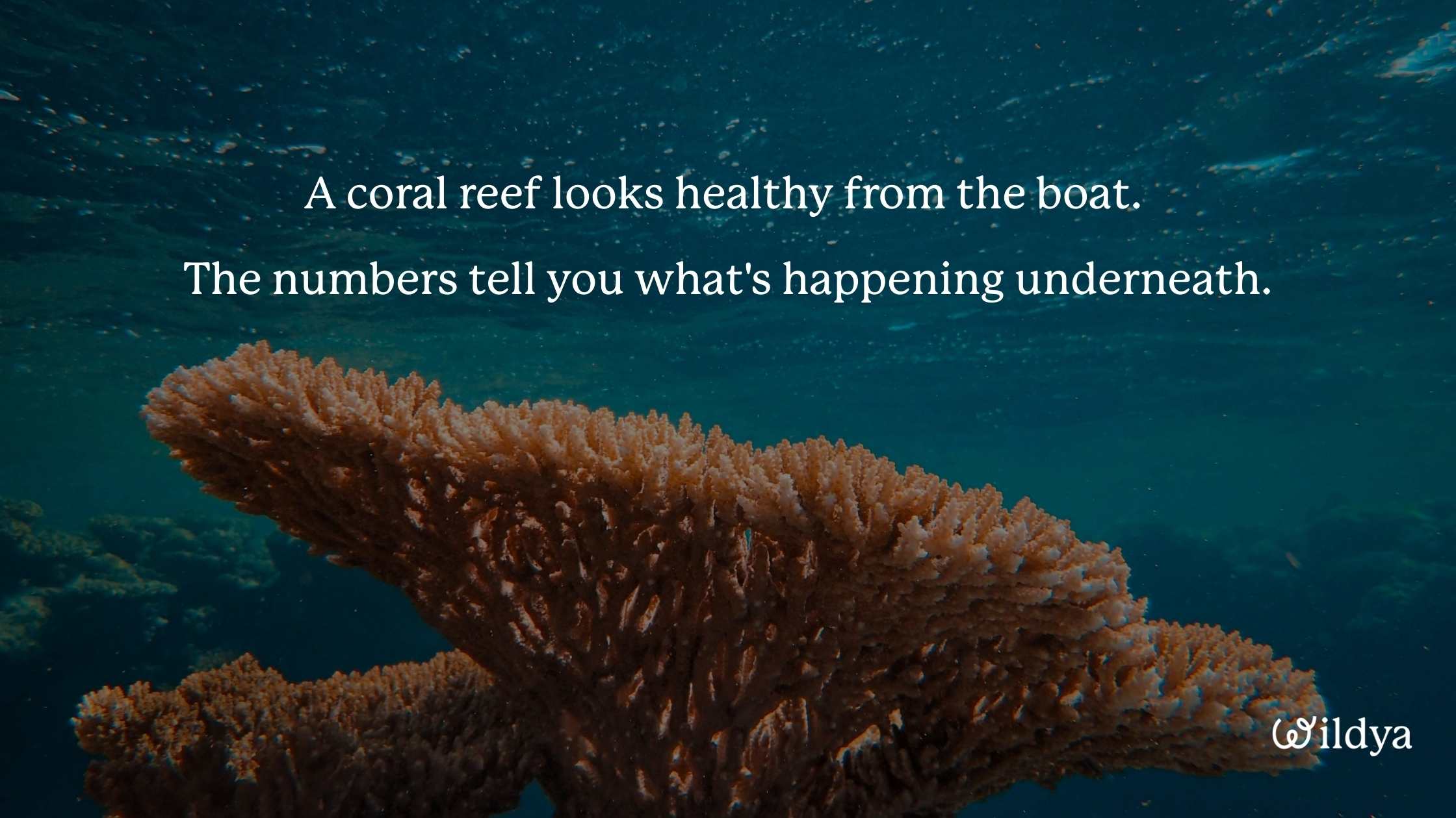 how-to-manage-business-finances-numbers-meaning