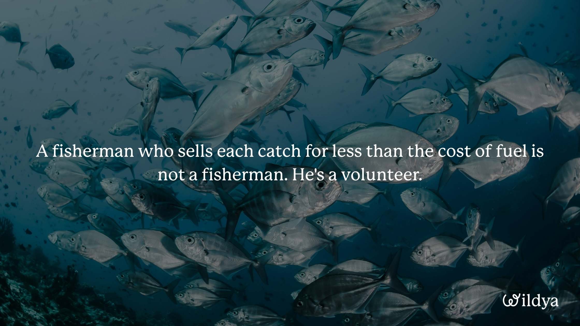 how-to-manage-business-finances-unit-economics