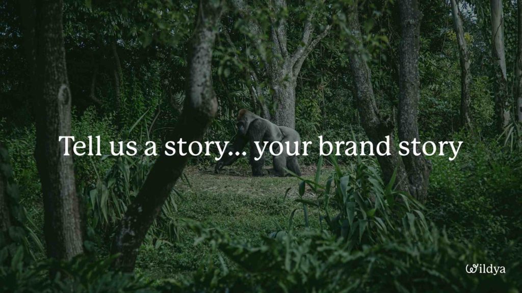 how-to-write-brand-story