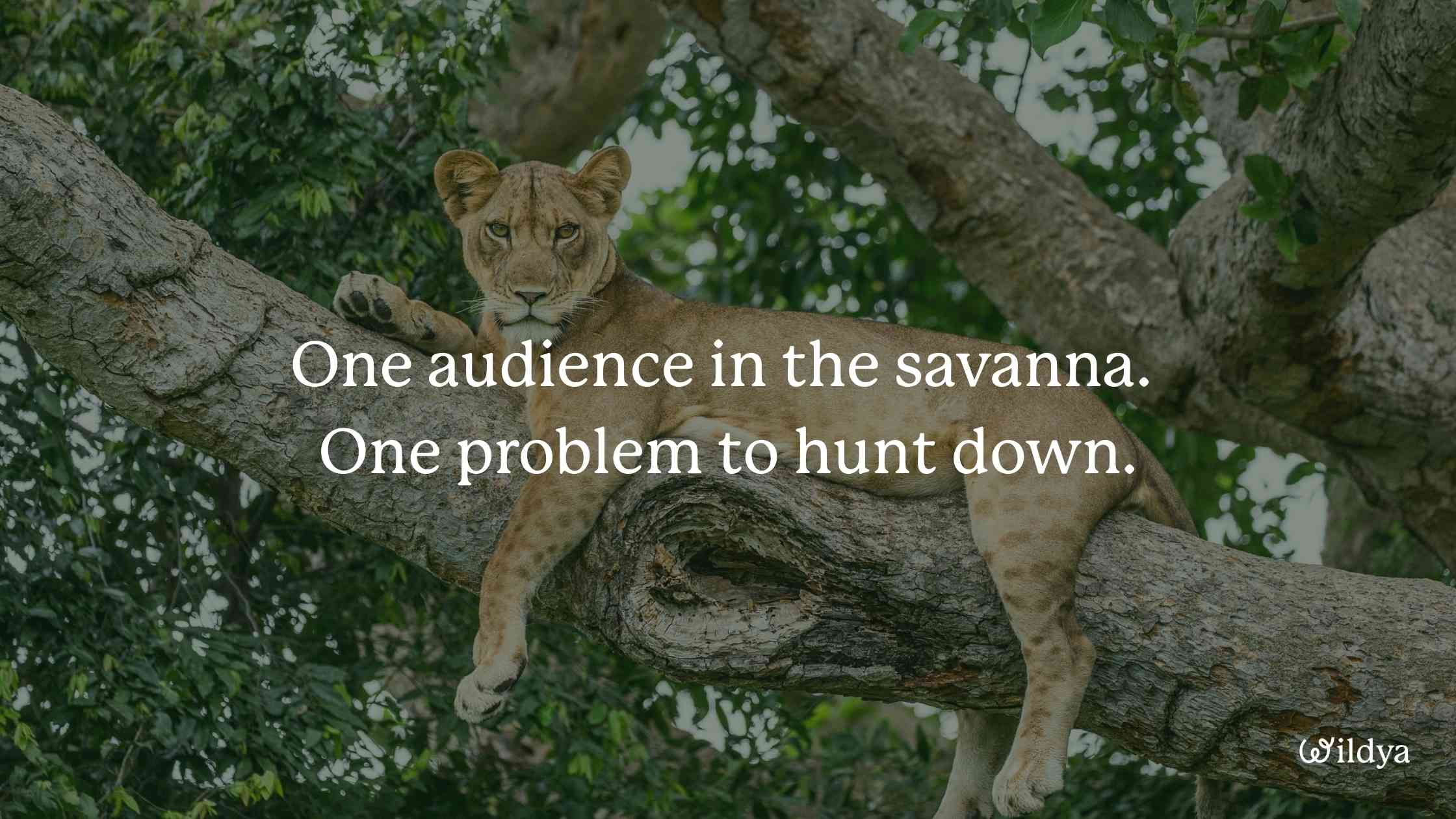 how-to-write-brand-story-audience-problem