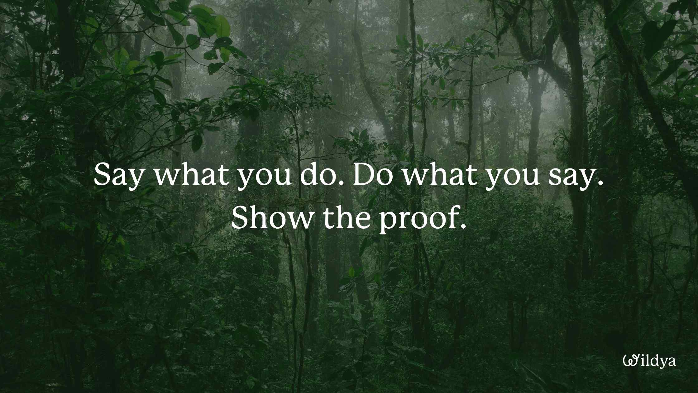 how-to-write-brand-story-credibility