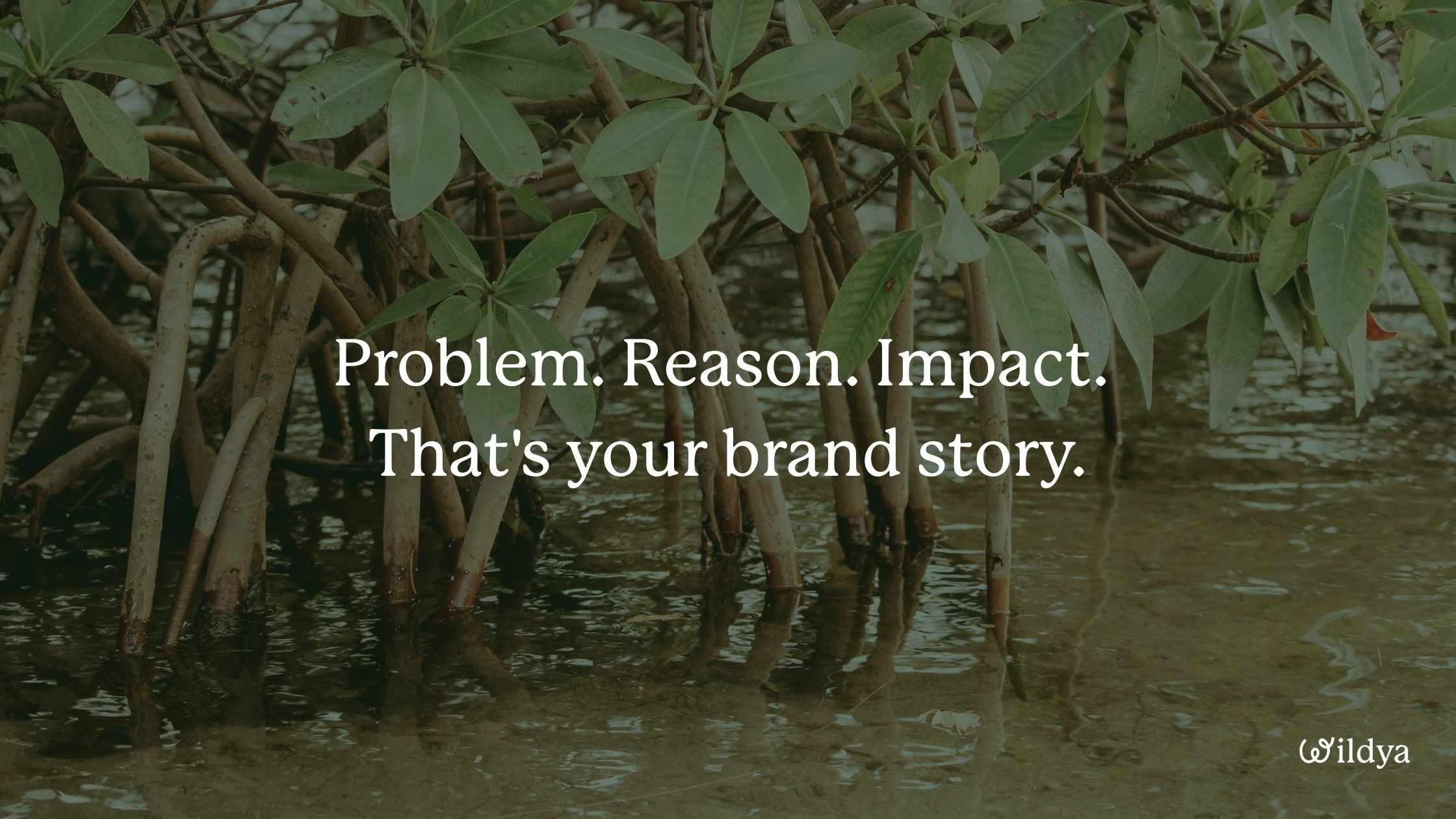 how-to-write-brand-story-definition