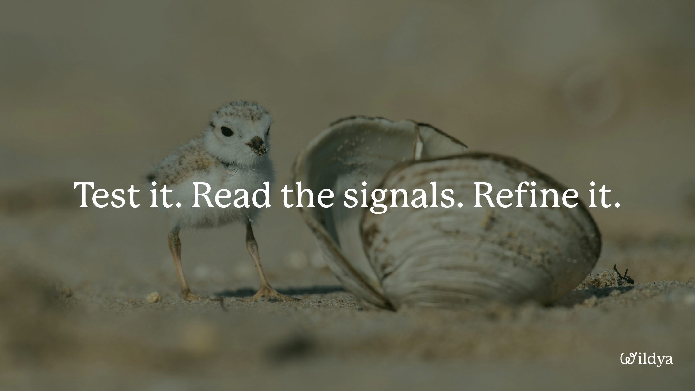 how-to-write-brand-story-improve