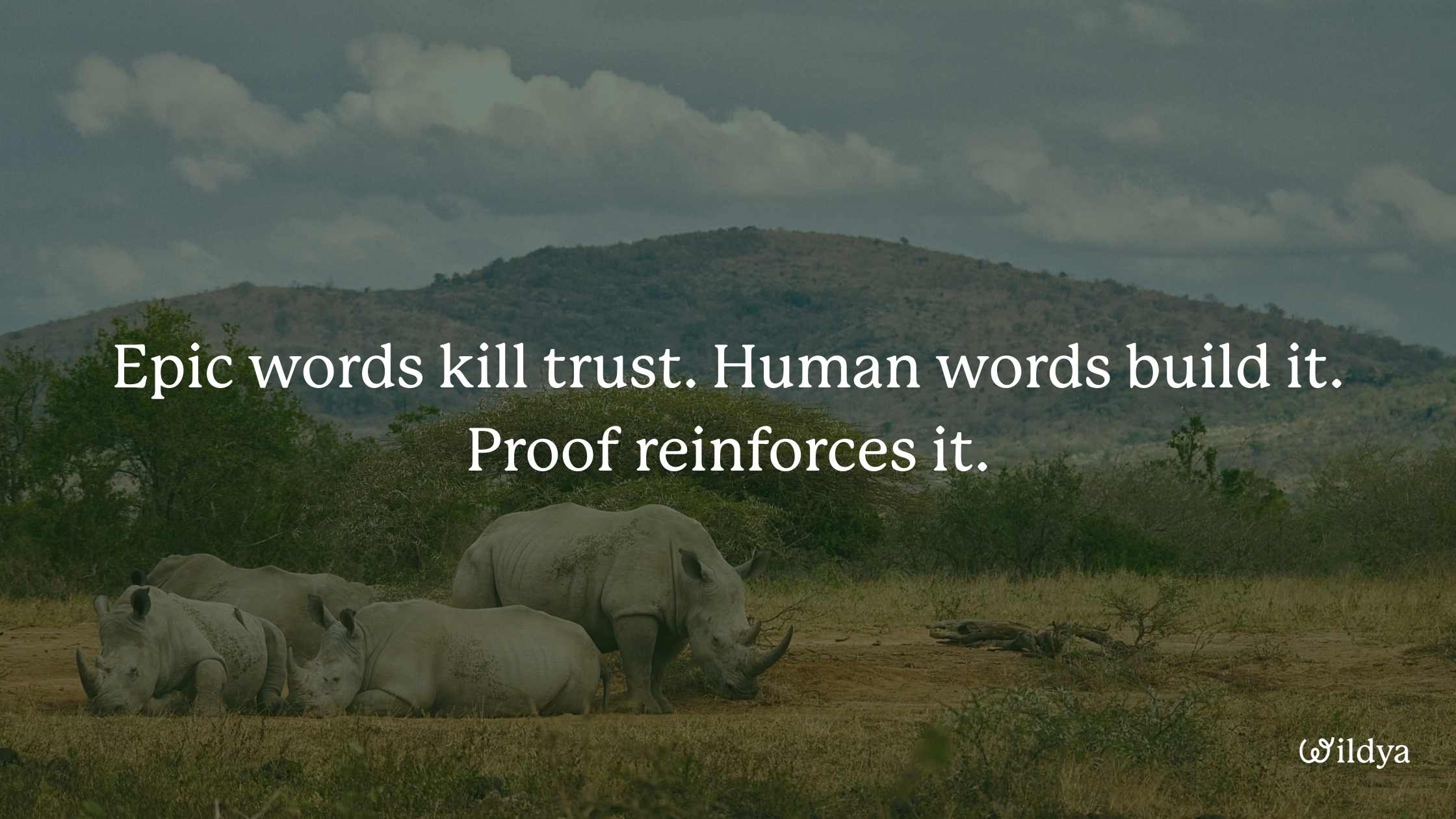 how-to-write-brand-story-mistakes