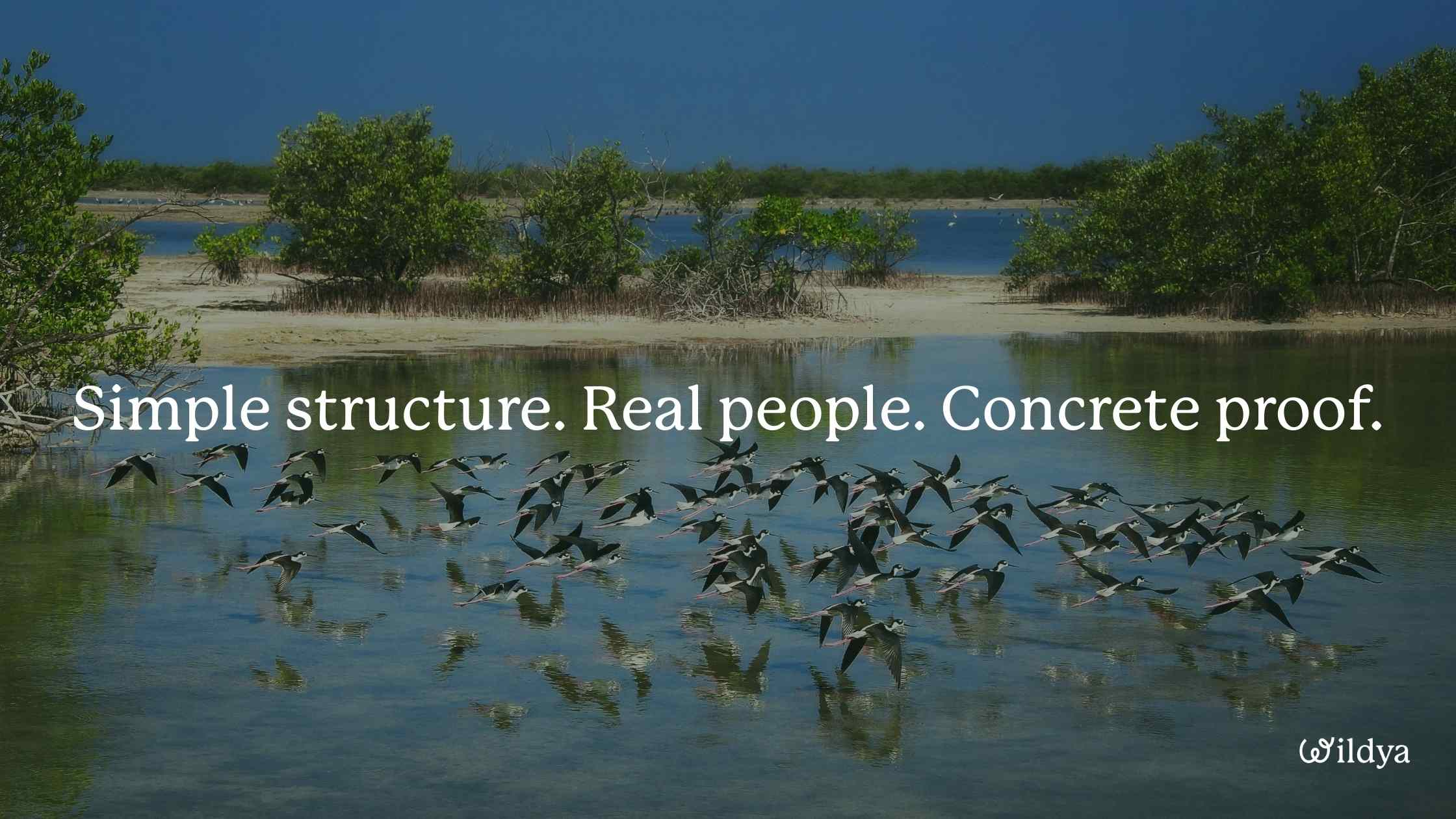 how-to-write-brand-story-structure