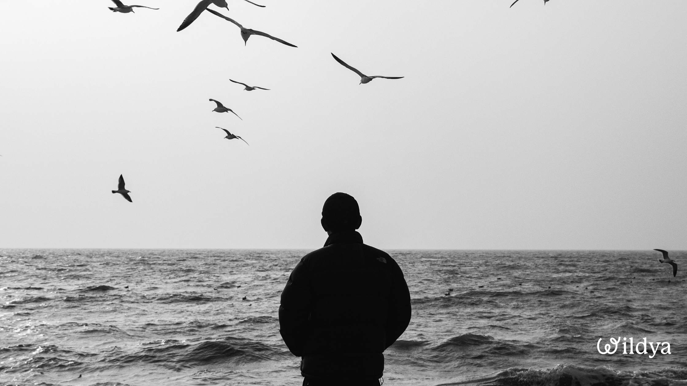 preventing-burnout-ecopreneurs-high-risks